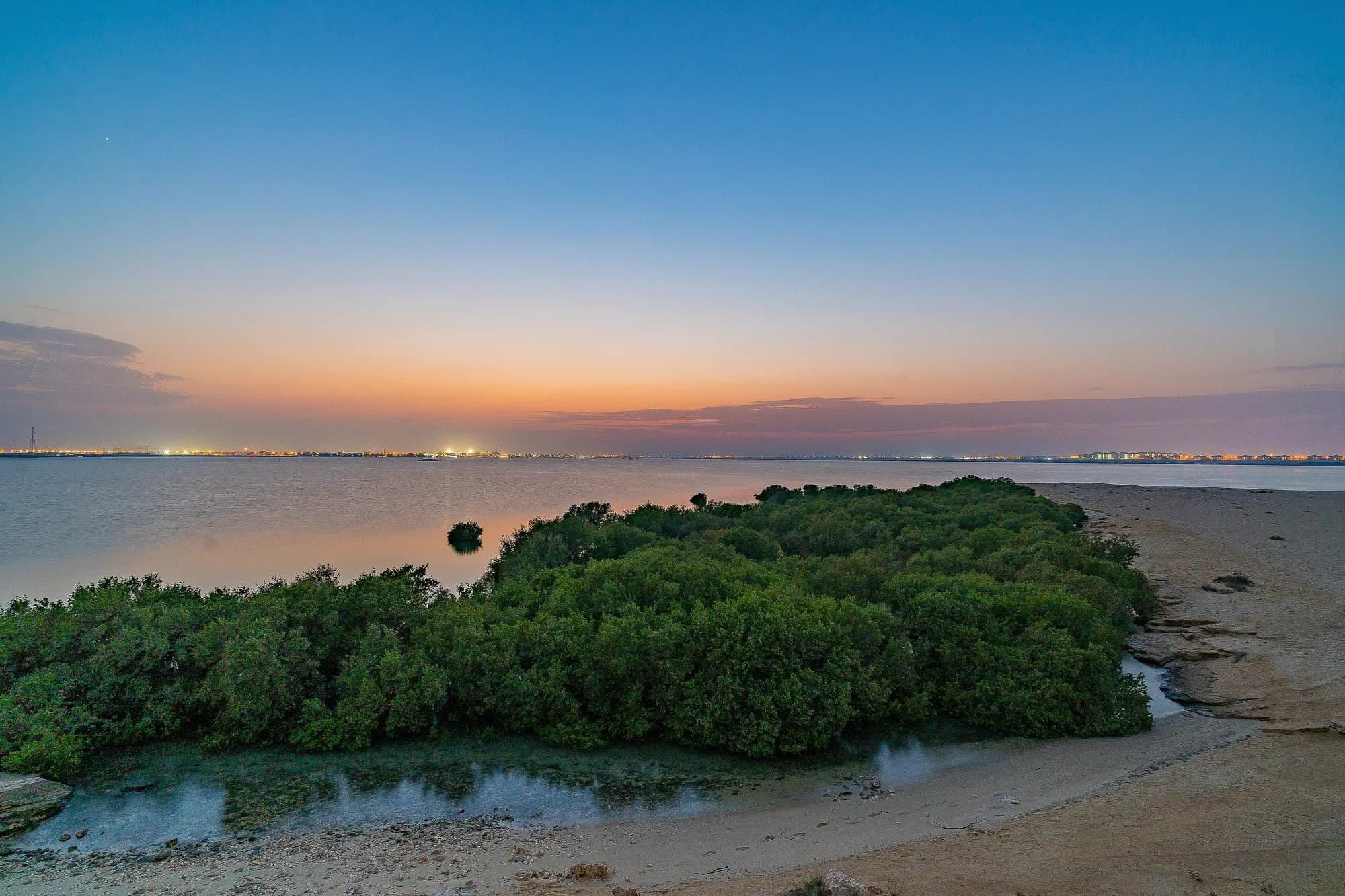 Mangrove Kayaking Al Thakhira – photo 2