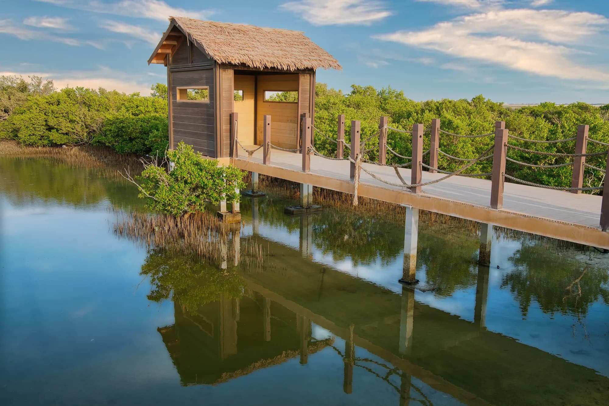 Wooden walkway and hut among the mangroves at Purple Island, Qatar