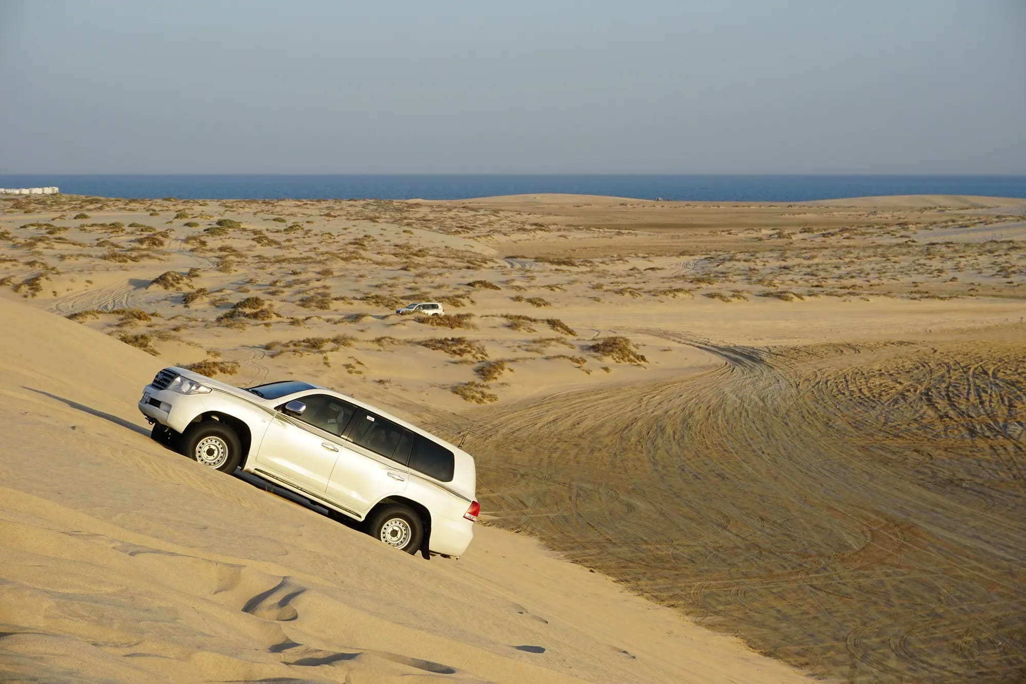 Half Day Desert Safari & Inland Sea – desert safari doha – Qatar Layover Tours
