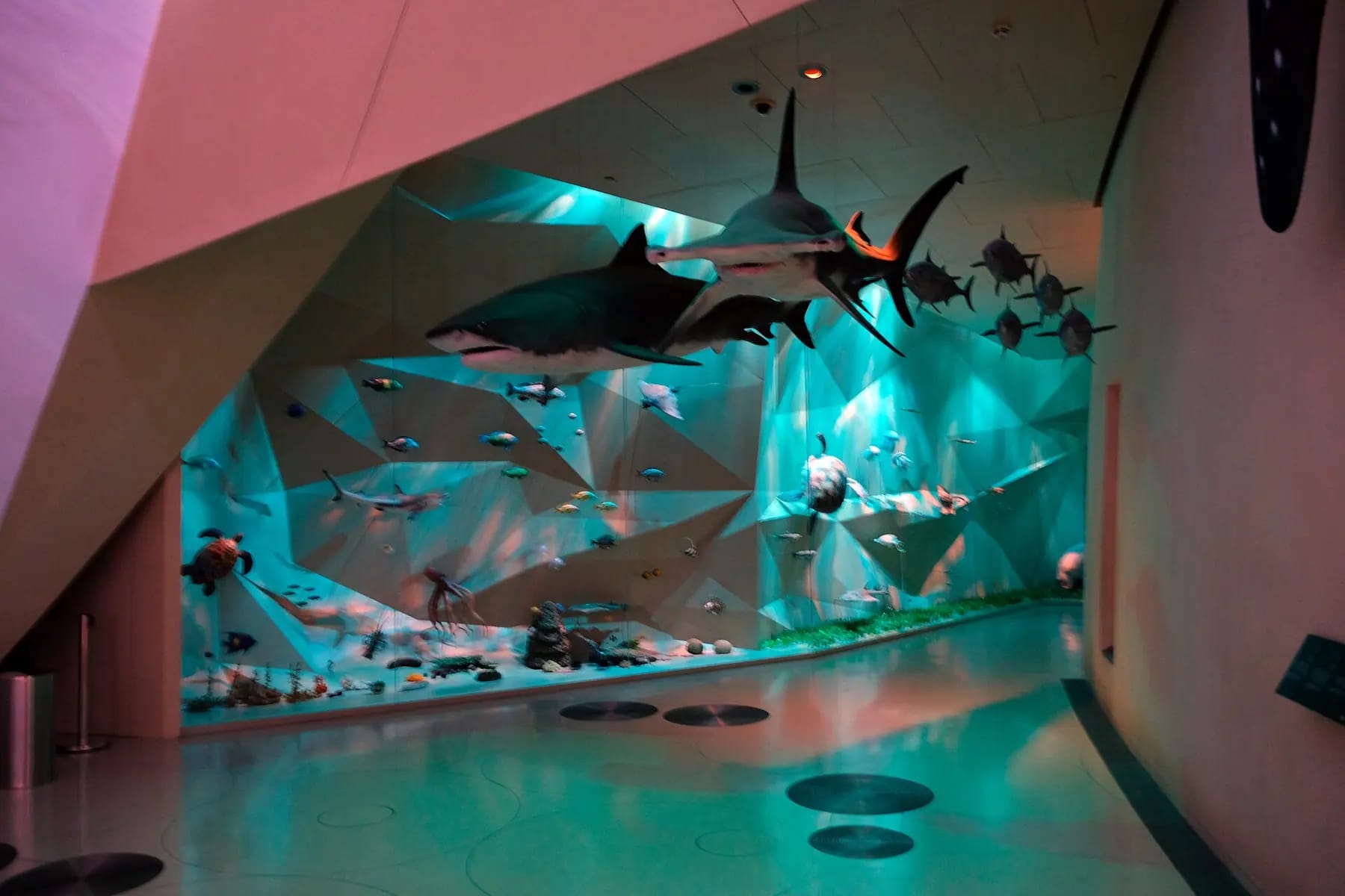 3-2-1 Qatar Olympic & Sports Museum Tickets – 3-2-1 qatar olympic museum – Qatar Layover Tours